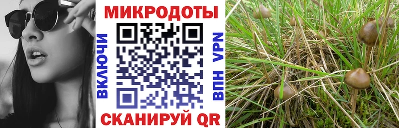 МЕГА ссылки  Белокуриха  Галлюциногенные грибы ЛСД 